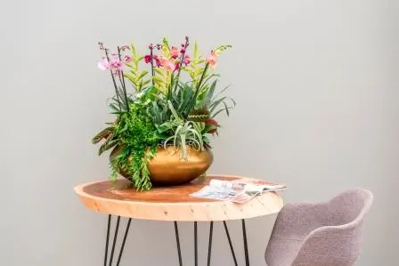 Interieur planten sfeer