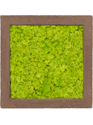 Mosschilderij lentegroen